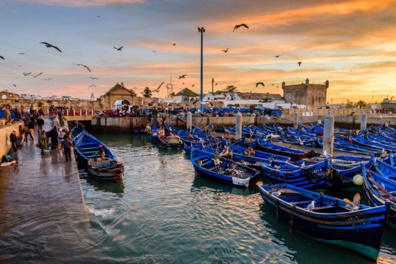 From Taghazout: Medina of Essaouira Guided Day Trip - Itinerary Highlights