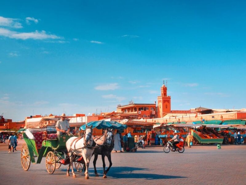 From Taghazout or Agadir: Marrakech Guided Day Trip - Historical Sights to See