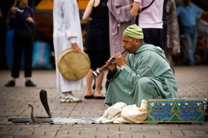 From Taghazout or Agadir: Marrakech Guided Day Trip - Frequently Asked Questions