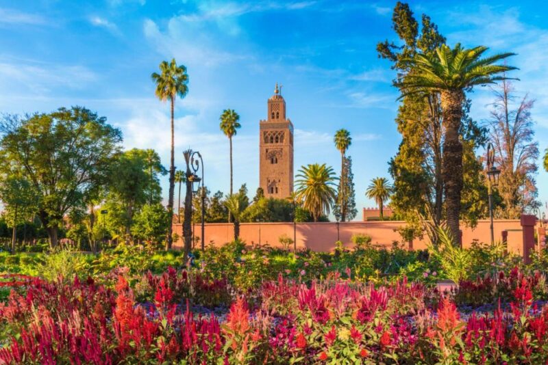 From Taghazout or Agadir: Marrakech Guided Day Trip - Visiting Jemaa El Fna Square