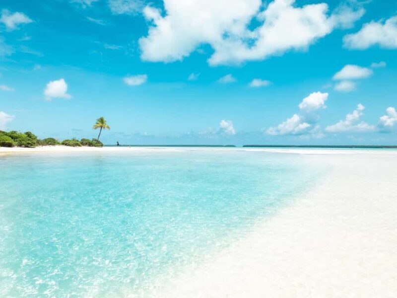 From Tahiti: Tetiaroa Island Tour by Sailing Catamaran - Practical Considerations