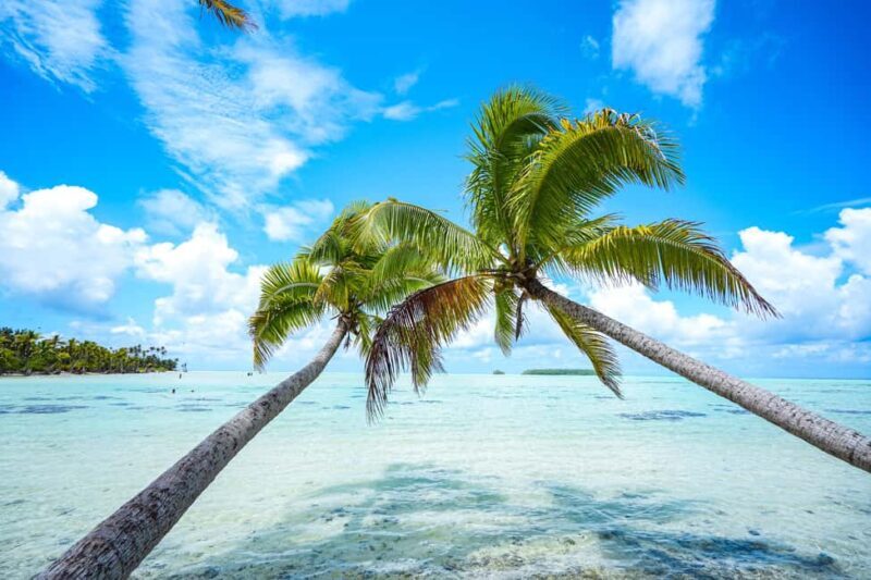 From Tahiti: Tetiaroa Island Tour by Sailing Catamaran - An In-Depth Look at the Tetiaroa Catamaran Tour