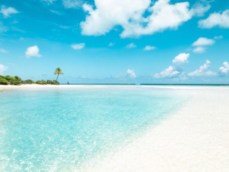 From Tahiti: Tetiaroa Island Tour by Sailing Catamaran - Practical Tips for Travelers