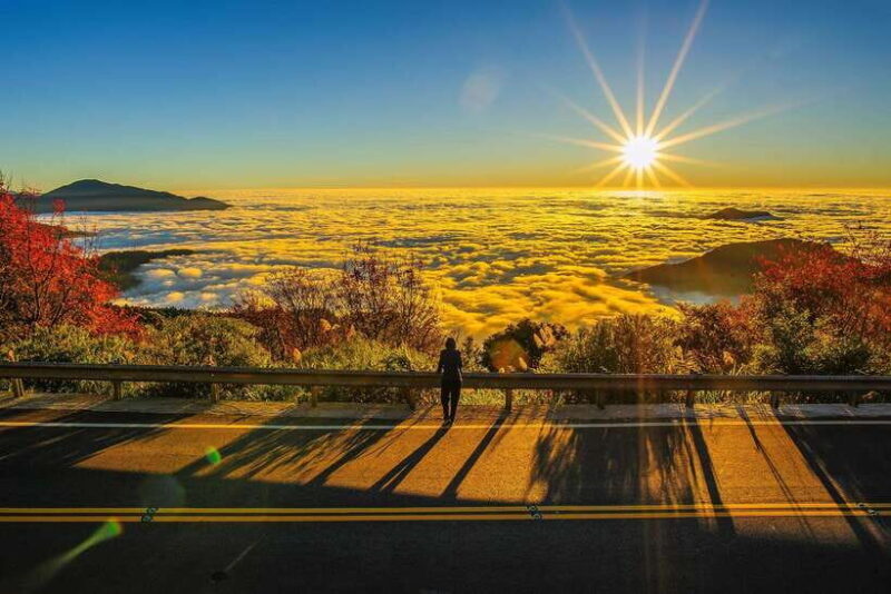 From Taipei City: 3-Day Sun Moon Lake & Alishan Private Tour - Exploring the Itinerary in Detail