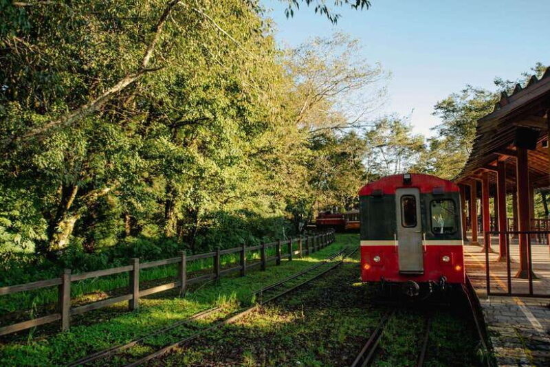 From Taipei City: 3-Day Sun Moon Lake & Alishan Private Tour - The Sum Up