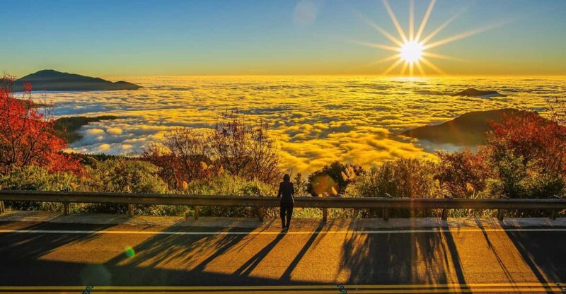 From Taipei City: 3-Day Sun Moon Lake & Alishan Private Tour - Key Points