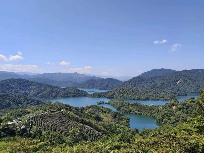 From Taipei: Pinglin Tea Culture and Maokong Guided Day Tour - A Complete Look at the Tour Experience