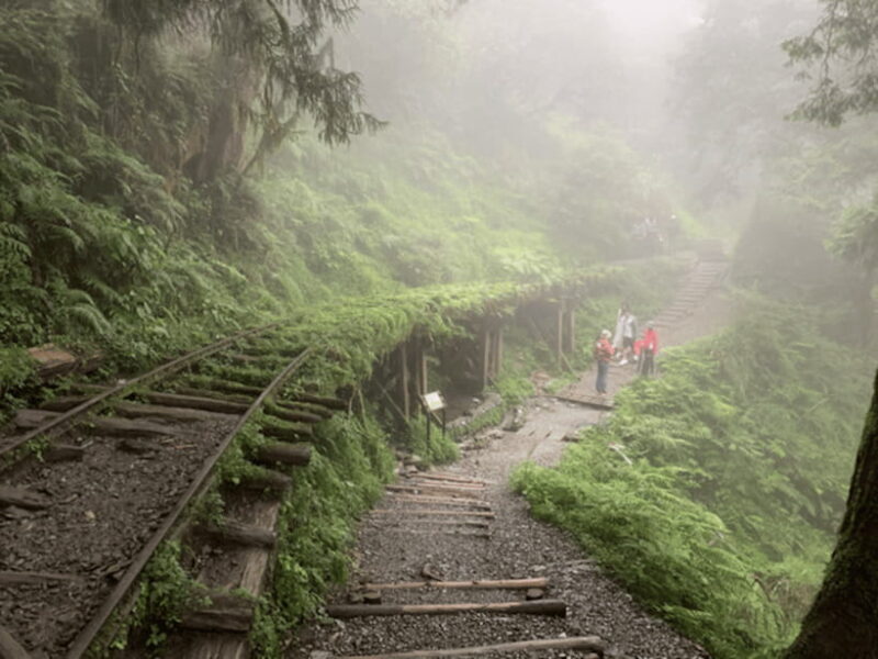 From Taipei: Taipingshan National Forest Private Day Tour - Key Points