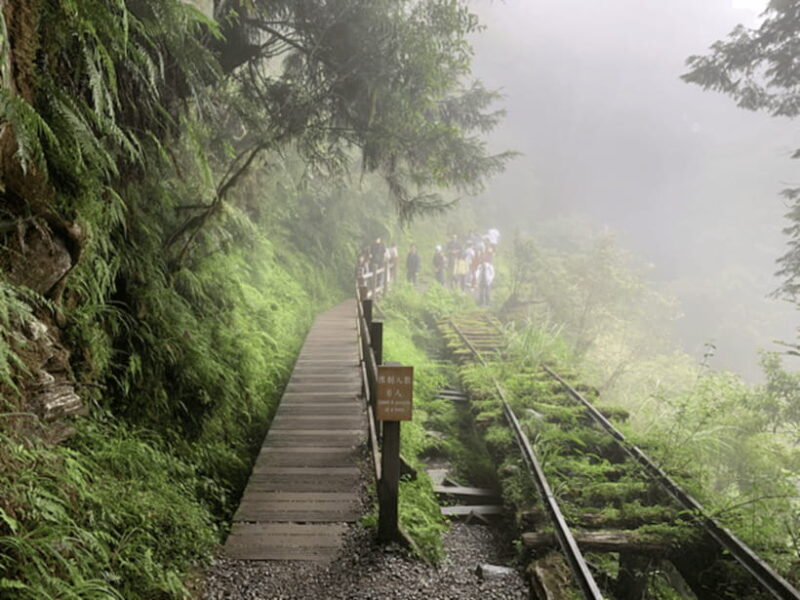 From Taipei: Taipingshan National Forest Private Day Tour - Discovering Taipingshan: A Perfect Natural Escape