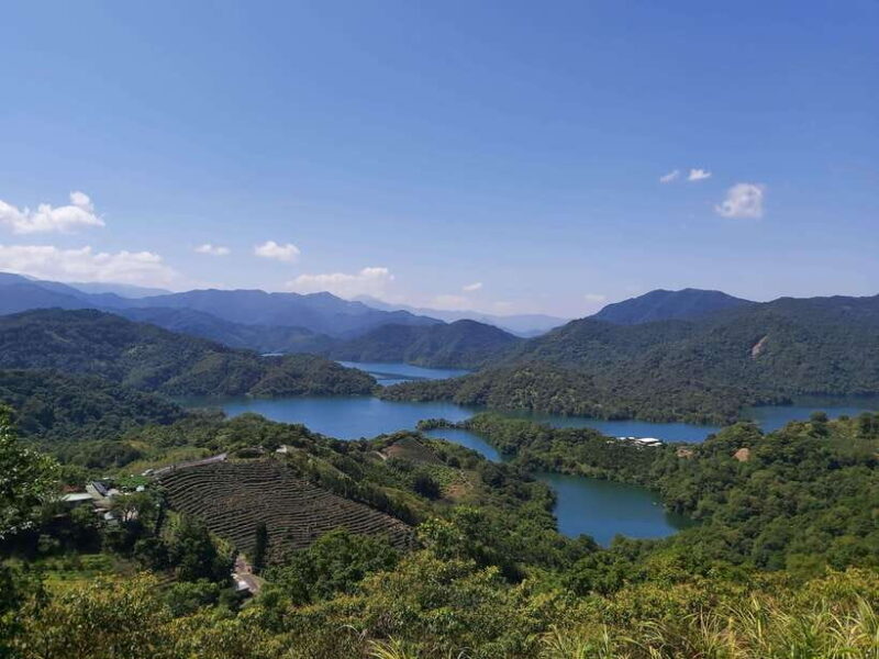 From Taipei: Thousand Island Lake and Pinglin Tea Plantation - An In-Depth Look at the Tour Experience