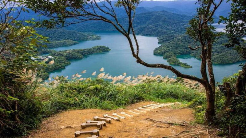 From Taipei: Thousand-Island Lake & Tea Museum Private Tour - An Overall Look at the Tour Experience