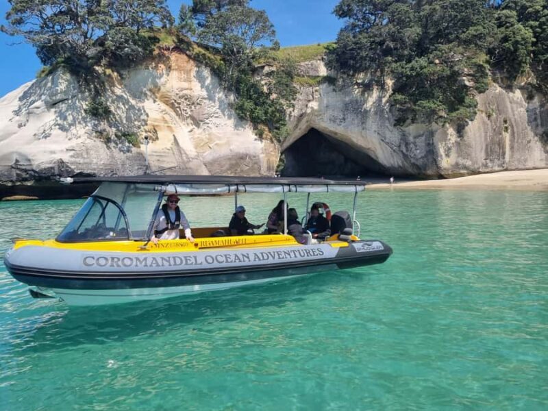 From Tairua: 2 Hour Cathedral Cove Tour with Local Guide - Who Will Love This Tour?