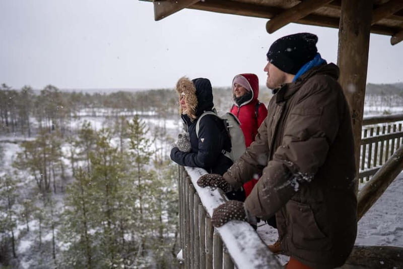 From Tallinn: Day Trip to Lahemaa National Park - Key Points