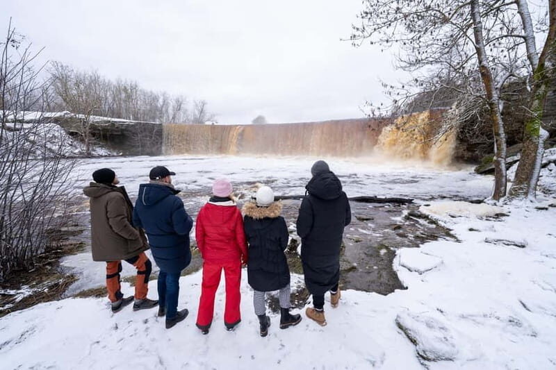From Tallinn: Day Trip to Lahemaa National Park - Who Will Love This Tour?
