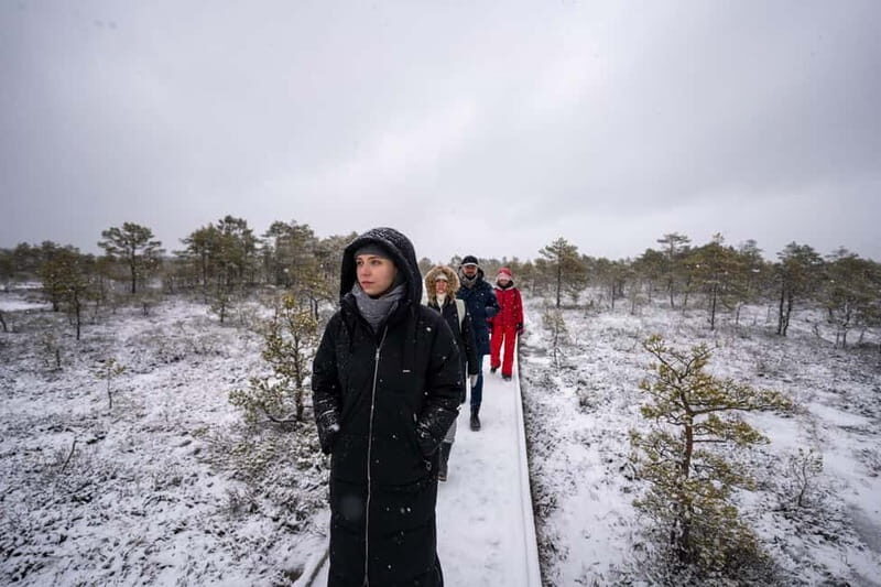 From Tallinn: Day Trip to Lahemaa National Park - The Sum Up