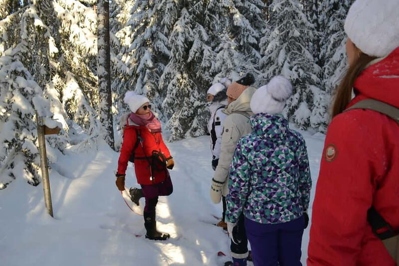 From Tallinn: Guided Bog-Shoe Hiking Tour - The Value of the Experience