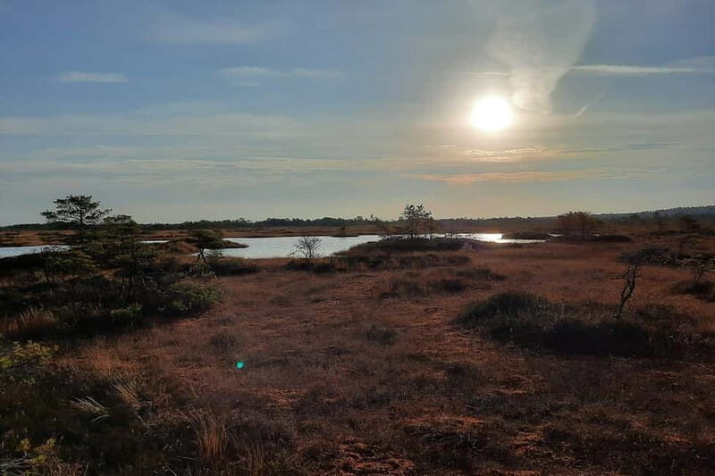 From Tallinn: Guided Bog-Shoe Hiking Tour - Who Will Love This Tour?