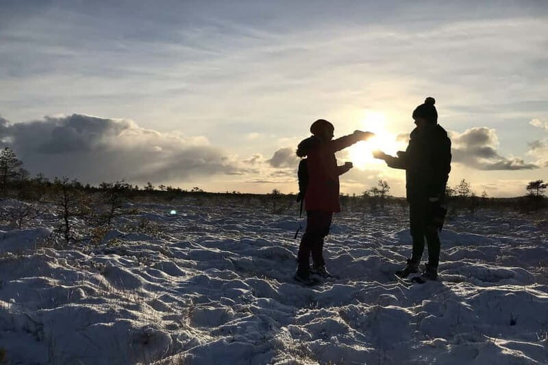 From Tallinn: Guided Bog-Shoe Hiking Tour - Final Thoughts