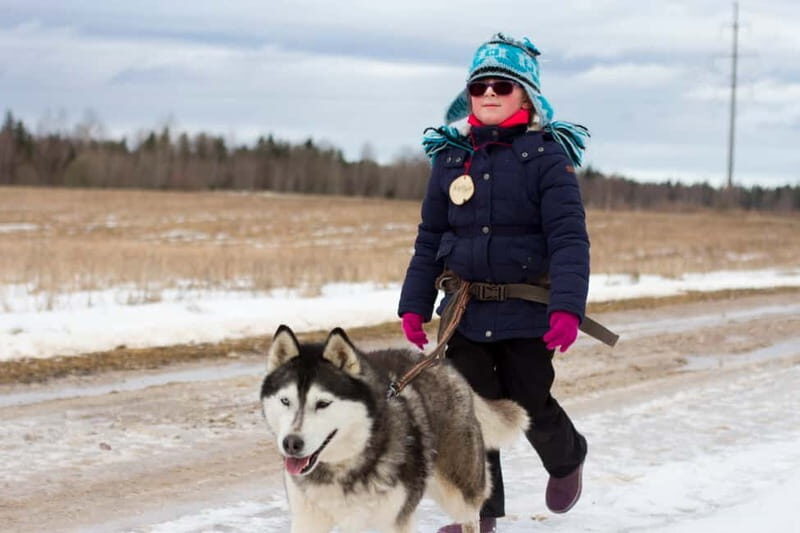 From Tallinn: Husky Park Tour with Cani-Cross Hike - From Tallinn: Husky Park Tour with Cani-Cross Hike — A Hands-On Wilderness Experience