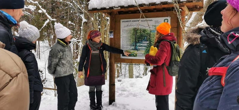 From Tallinn: Lahemaa National Park 3 Waterfall Hike - The Waterfalls: Key Highlights of the Hike