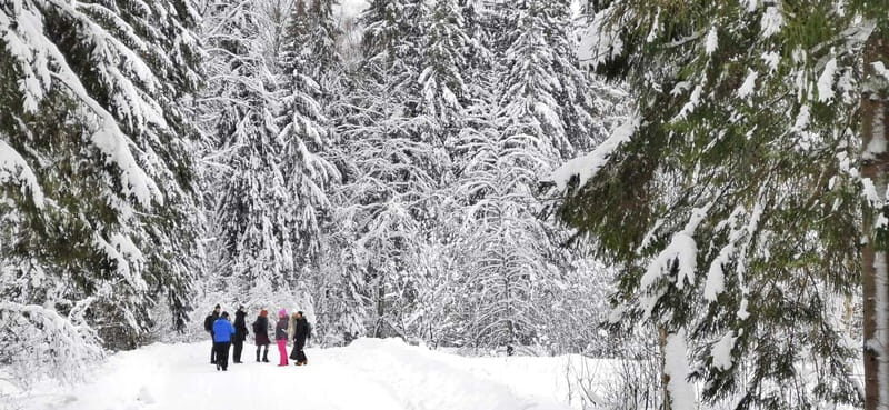 From Tallinn: Lahemaa National Park 3 Waterfall Hike - Wildlife and Nature Observation