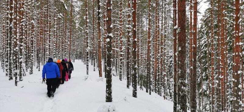 From Tallinn: Lahemaa National Park 3 Waterfall Hike - Practical Details and Value