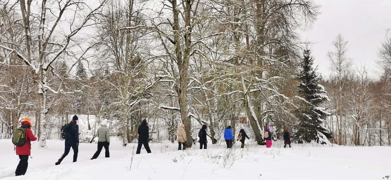 From Tallinn: Lahemaa National Park 3 Waterfall Hike - What Makes This Experience Stand Out?