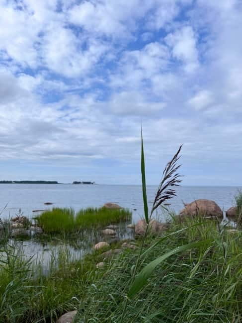 From Tallinn: Lahemaa National Park Day Trip - Exploring Estonia’s Nature and Heritage: A Review of the Lahemaa National Park Day Trip from Tallinn