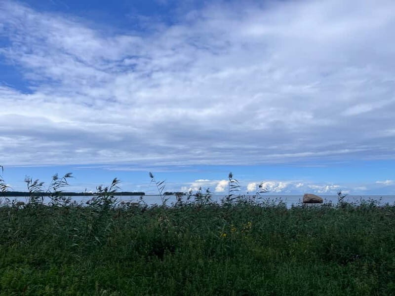 From Tallinn: Lahemaa National Park Day Trip - A Detailed Look at This Lahemaa National Park Day Trip