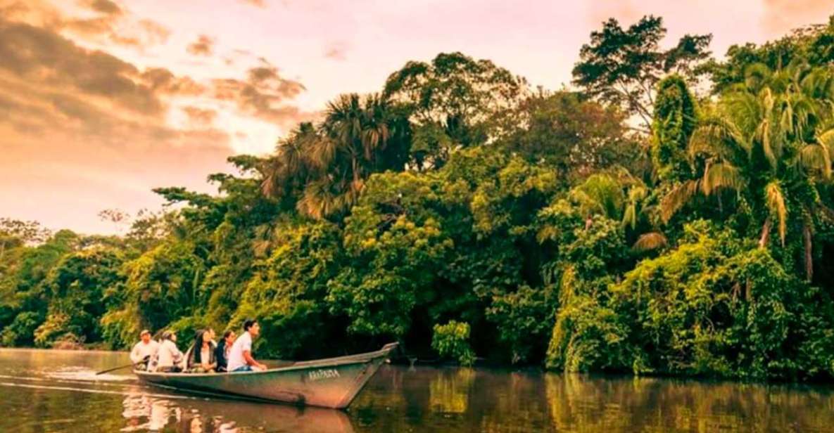 From Tambopata: Get Into Nature 2d/1n - Itinerary Highlights