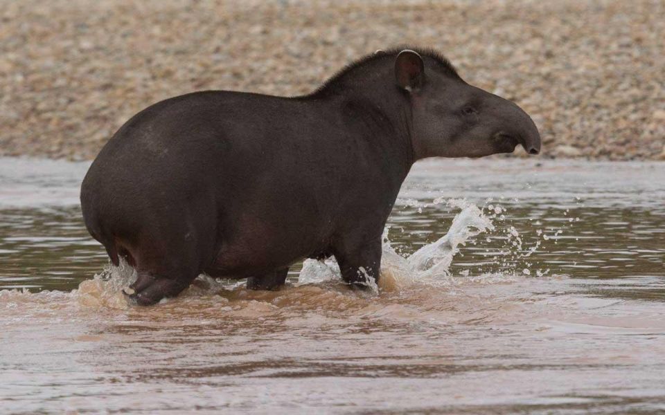 From Tambopata: Get Into Nature 2d/1n - Inclusions