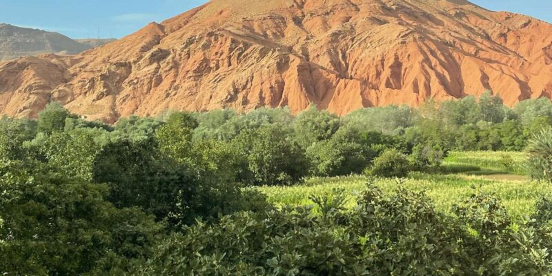 From Tanger: Tour 5-Day To Marrakech Via-Desert Merzouga - Activities and Experiences