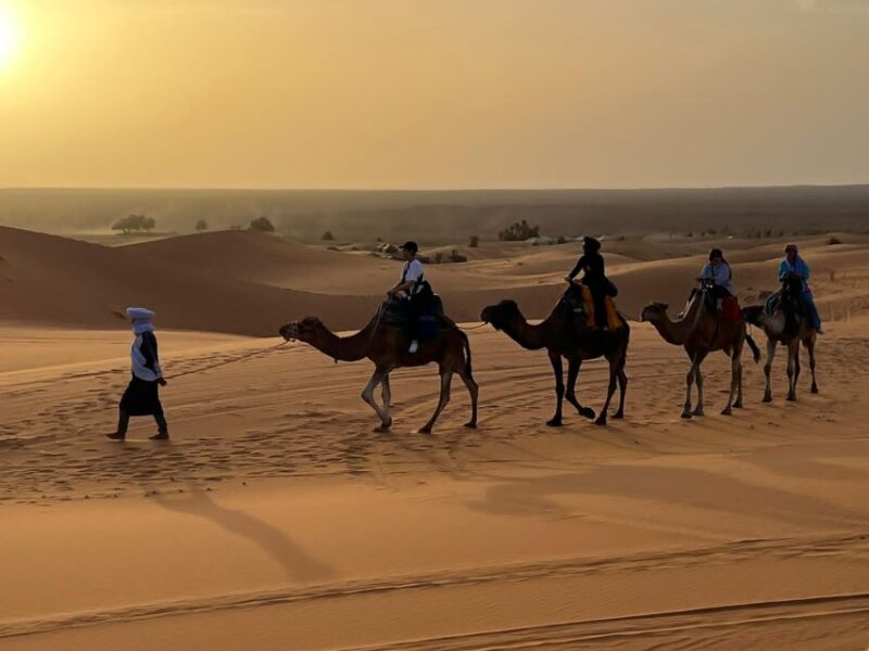 From Tangier: 6-Day Desert and Mountain Tour to Merzouga - Itinerary Highlights