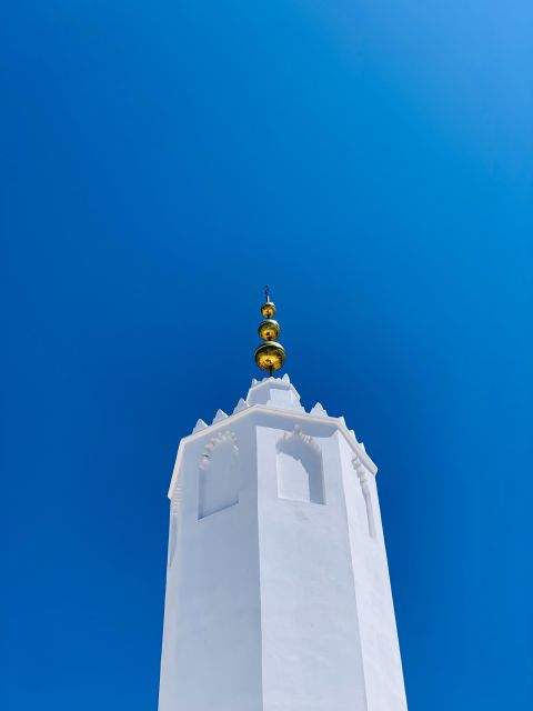 From Tangier: Asilah Tour With Tea Tasting & Camel Ride - Itinerary Highlights