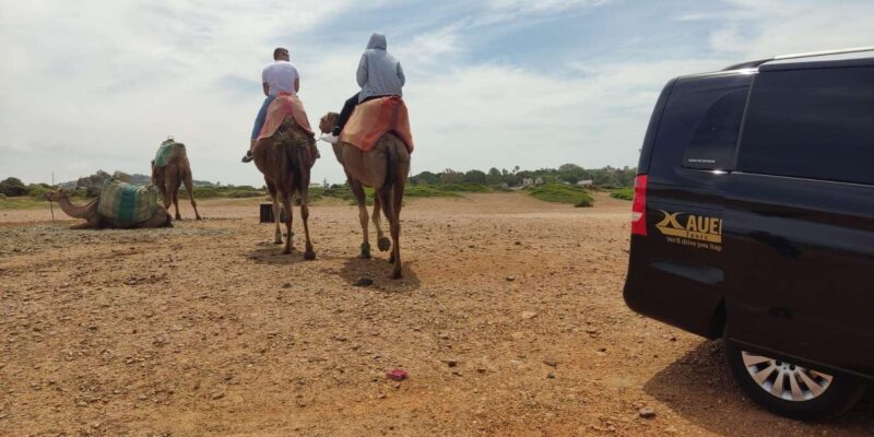 From Tangier: Cap Spartel and Hercules Cave With Camel Ride - Good To Know