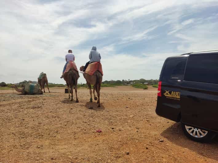 From Tangier: Cap Spartel and Hercules Cave With Camel Ride - Discovering Hercules Caves