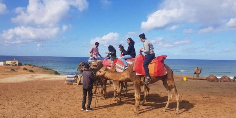 From Tangier: Cap Spartel and Hercules Cave With Camel Ride - Transportation and Accessibility