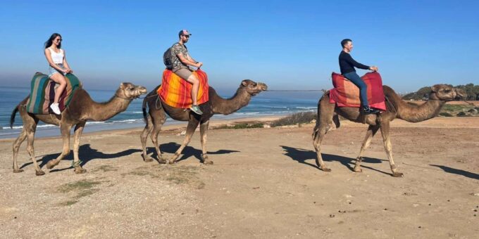 From Tangier: Cap Spartel and Hercules Cave With Camel Ride - Highlights From Customer Reviews