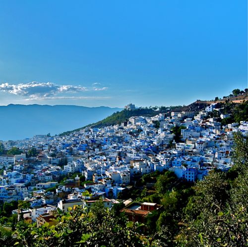 From Tangier: Chefchaouen Guided Full-Day Trip - Highlights and Experiences