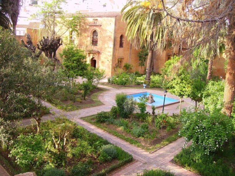 From Tangier: Chefchaouen Guided Full-Day Trip - Included Services