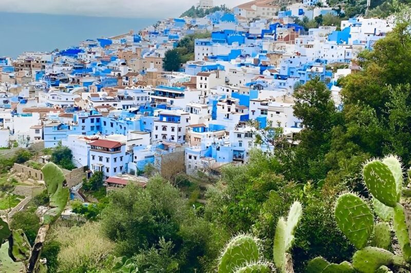 From Tangier: Chefchaouen Private Day Tour - Itinerary Details