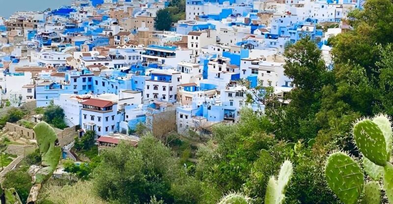 From Tangier: Chefchaouen Private Day Tour - Highlights of the Tour