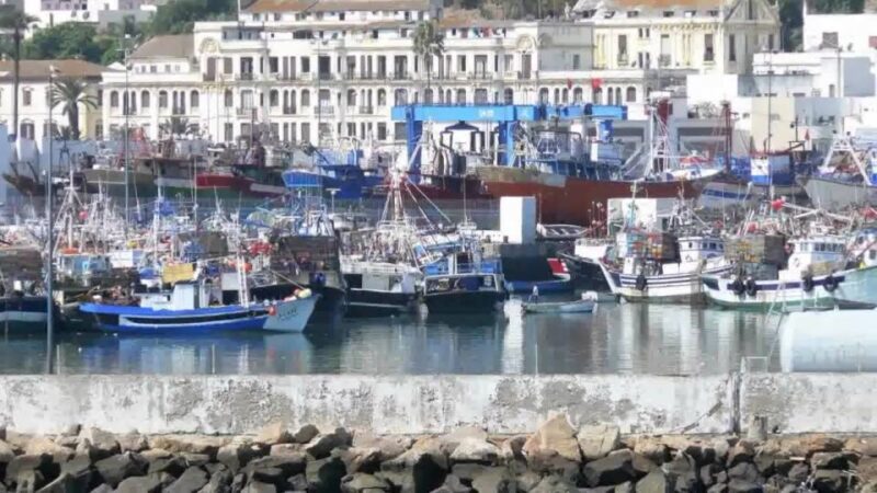 From Tangier: Full-Day Tangier, Asilah, & Cape Spartel Tour - Marveling at the Iconic Cape Spartel