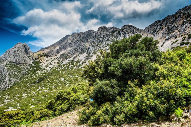 From Tangier: Jbel Moussa Excursion - Included Services