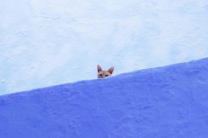 From Tangier: Special Day Trip to Chefchaouen and Tetouan - Highlights of Tetouan