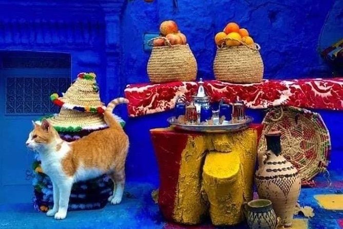 From Tangier: Special Day Trip to Chefchaouen and Tetouan - Traveler Experiences and Reviews