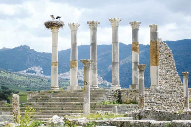 From Tangier: Transfer to Fez via Chefchaouen and Volubilis - Good To Know