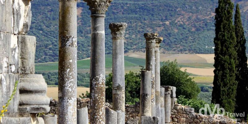 From Tangier: Transfer to Fez via Chefchaouen and Volubilis - Discovering Volubilis