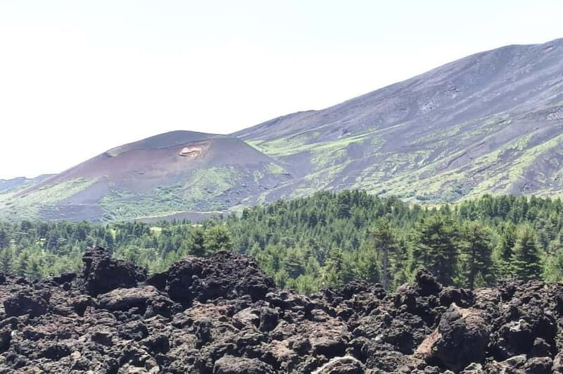 From Taormina: Etna Walking Tour and Wine Tasting in Winery - Introduction