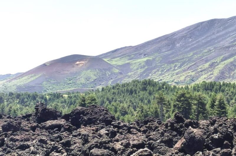 From Taormina: Etna Walking Tour and Wine Tasting in Winery - Key Points